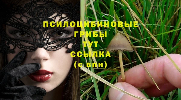 ALPHA PVP Рославль
