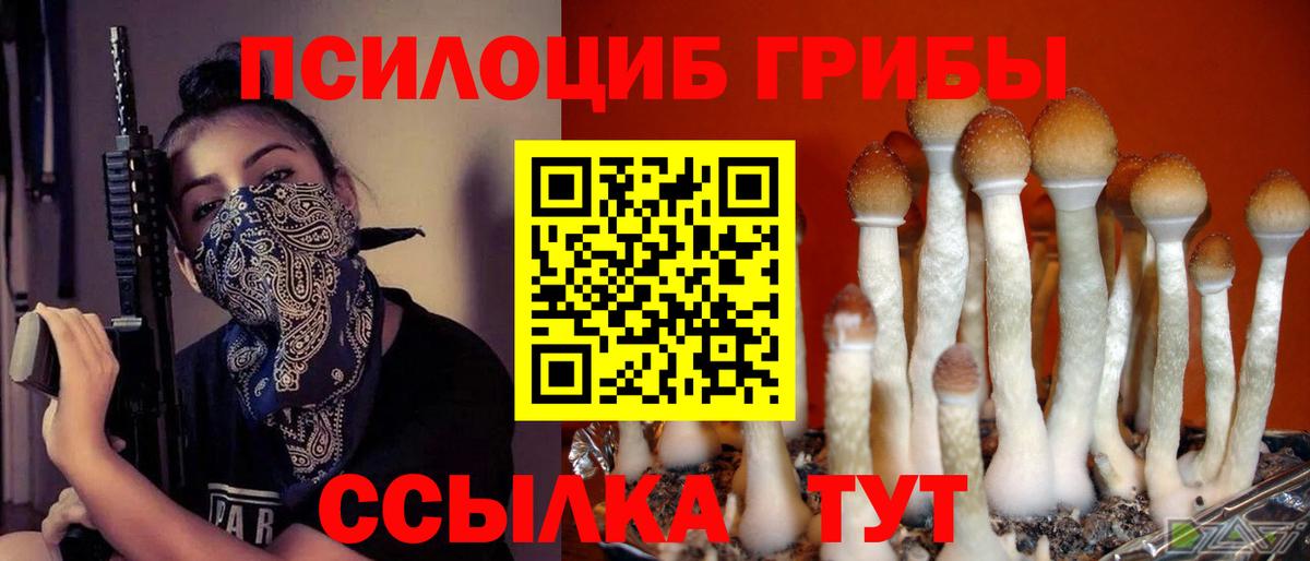 Псилоцибиновые грибы Psilocybe  Вход с VPN  Тутаев  Псилоцибиновые грибы мухоморы 